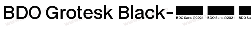 BDO Grotesk Black字体转换